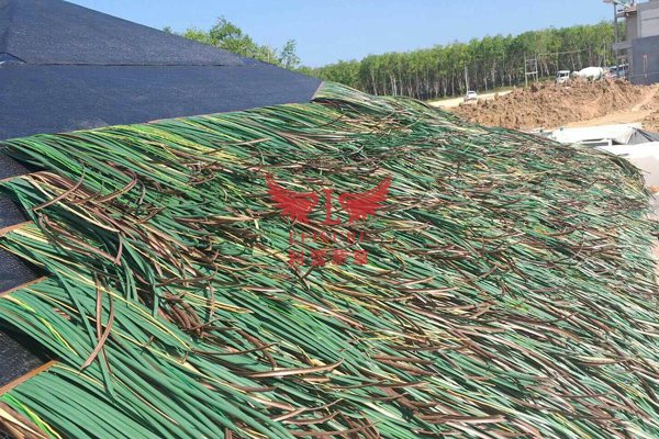 陽江茅草亭項(xiàng)目